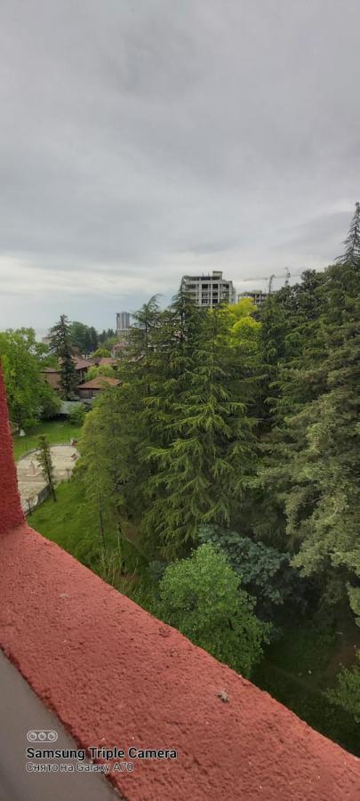 Студия Радуга у моря Батуми Экстерьер фото